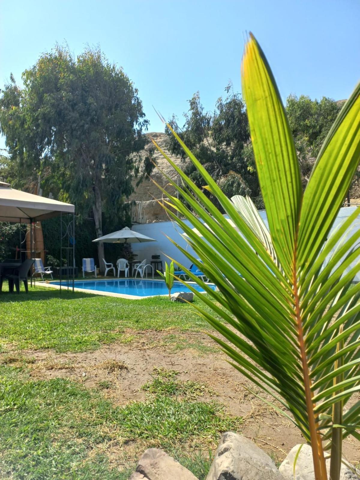 Montemar - Playa Appartement